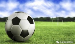 荷兰足球爆料视频最新下载,独家下载揭秘赛场幕后风云